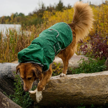 Wilderdog Dog Jacket Waterproof Raincoat with Breathable Interior, Removable Hood, Torso Strap, Secure Closures, Back Pocket and Two Hanging Loops, Foldable into Back Pocket