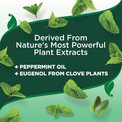 Vet's Best Natural Flea and Tick Spray for Dogs – Plant-Based Flea Repellent with Certified Essential Oils – Natural Pest Control and Prevention – Non-Toxic Formula for Home Use – 8 oz Bottle