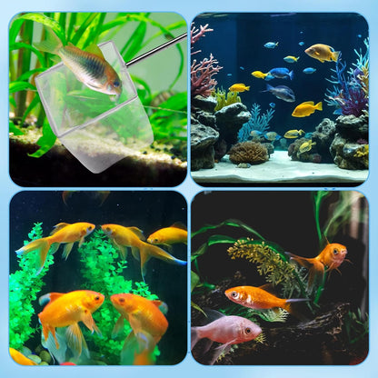 2 Pack Fish Tank Net 3 Inch Square Small Fish Net with Extendable Stainless Steel Handle Fine Mesh Shrimp Nets for Aquarium Tank Pond Bettas Debris Skimming