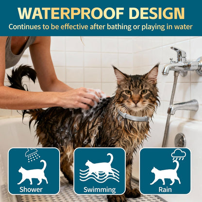 Flea and Tick Collar for Cats 2 Pack, 12 Months of Cat Flea Collar Protection 2 Collars Made with Premium Plant Based Essential Oil Waterproof and Natural Treatment Prevention Free Comb