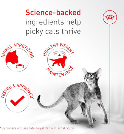 Royal Canin Fussy Dry Cat Food for Adult Cats, Protein-Rich Kibbles for Picky Eaters, Poultry-Based, Supports Healthy Weight and Urinary Health, 7 lb Bag