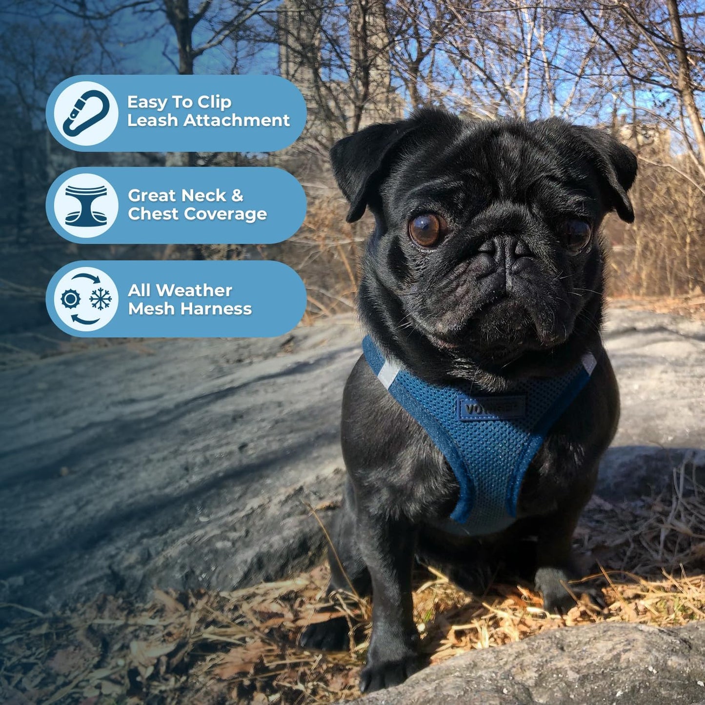Best Pet Supplies Voyager Step-in Air Harness - All Weather Mesh, Reflective, No Pull Harness for Dogs, Cats - Secure with Hook & Loop Fastener, Buckle, Double D-Rings - Blue, XS