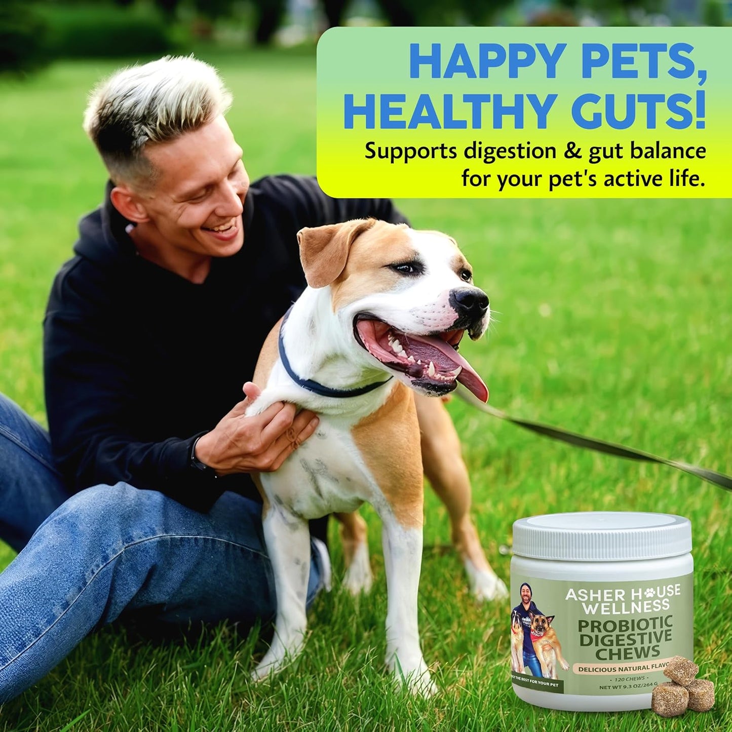 Asher House Wellness Probiotics Digestive Chew for Dogs - Dog Probiotic, Digestive Enzymes for Gut Health & Digestion - Pet Chews for Diarrhea, Upset Stomach, Allergies, Itchy Skin Relief, 120 Chews