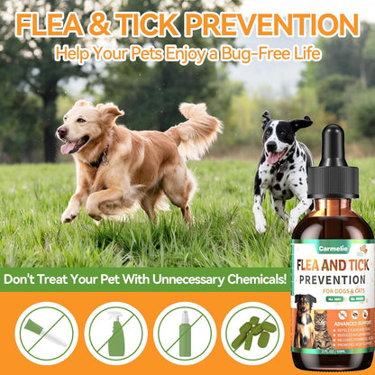 Oral Flea and Tick Support for Dogs and Cats, Natural Dog Flea and Tick Defense, Cat Flea Drops Supplements with Vitamin for Pets - All Breeds and Ages - Bacon
