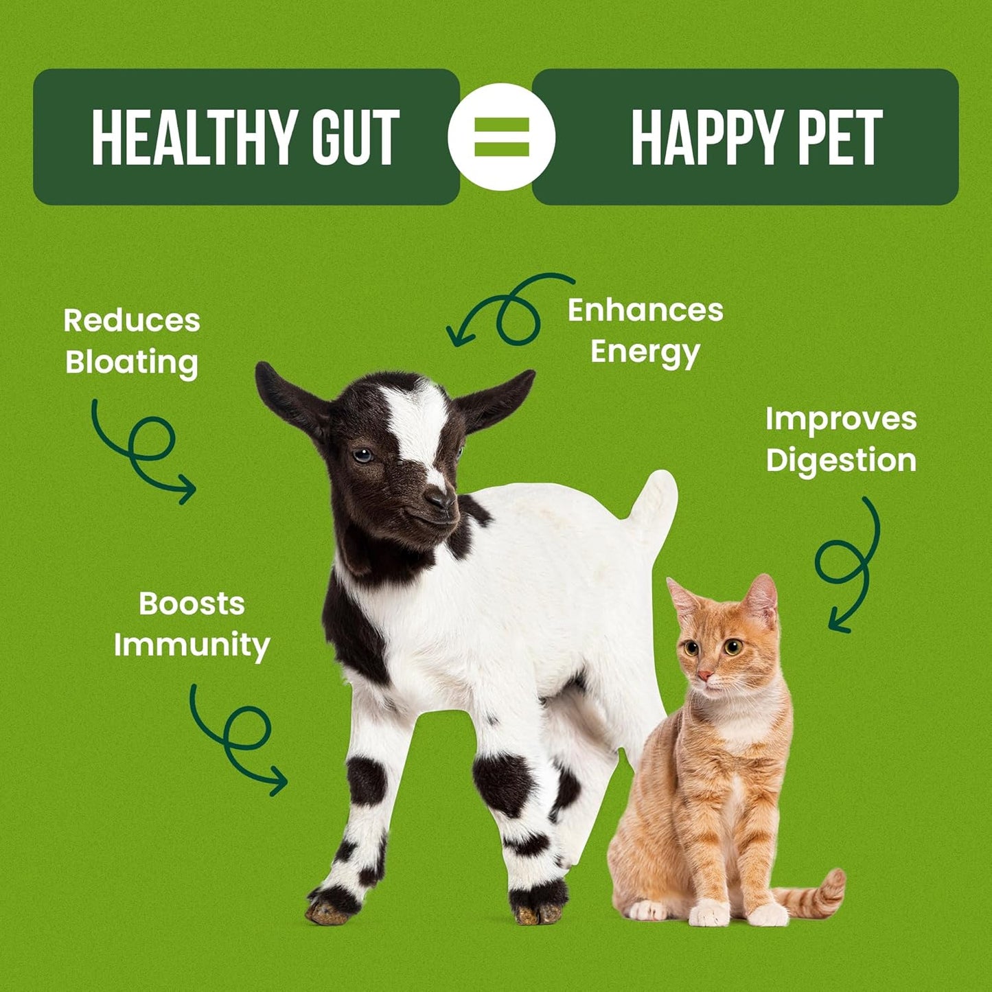 Pet Probiotics for Dogs, Cats, Horses, Goats, Cows & Pigs | Multi Species Dispersible Powder | Supplements for Digestive Health | Cat & Dog Probiotics | Vet Approved & Made in USA | 10 oz | Pair Pet