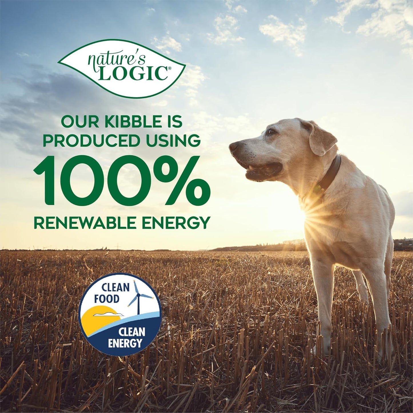 NATURE'S LOGIC Pure Naturals™ 100% Natural Grain-Free Beef Recipe Synthetic-Free Dry Dog Food, 24 lbs