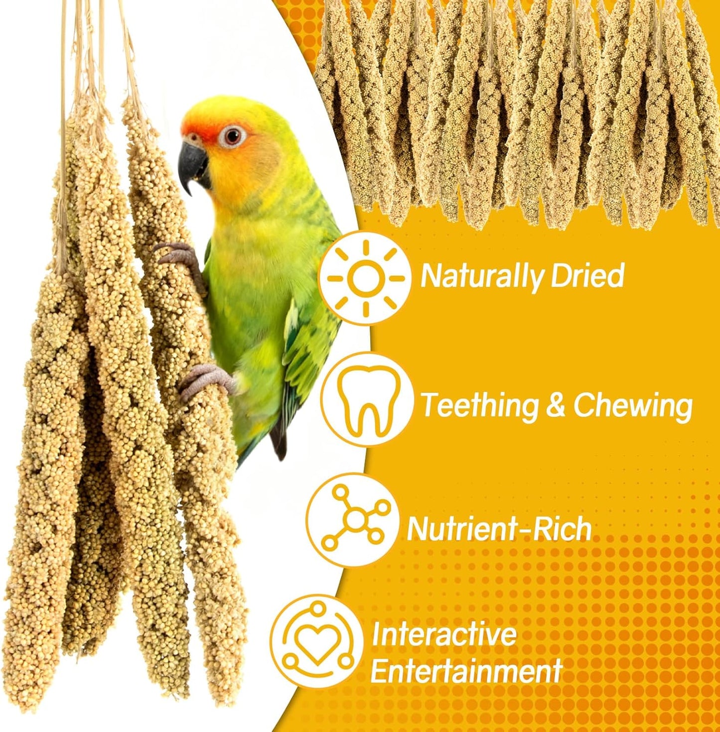 Sukh Millet Spray for Parrots - 30 Pcs Natural Sun-Dried Bird Treat, 12.6 Inches Bird Millets for Cockatiels, Budgies, Parakeets, Finches, Canaries and Pet Birds