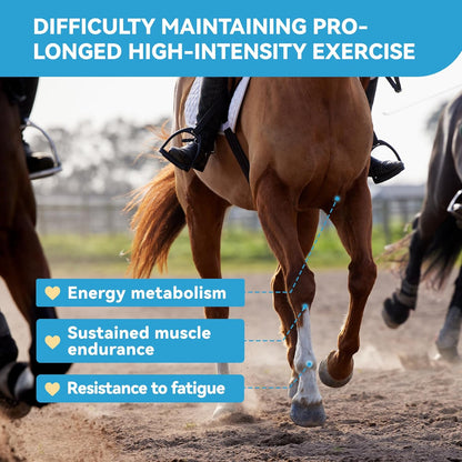 Calmative Taurine Supplement for Horses Enhance Focus and Concentration for Horse Health Focusing & Calming Taurine Powder Supplement 28-Day Supply