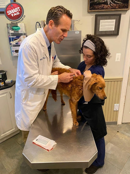 Mini ISO Data Microchip with Temperature Biosensor, Lifetime Pet Recovery Service/Free Registration, Implanter & ID Tag for Dogs, Cats & All Animals, 14 Gauge/Reusable Poly-Bag/10 Pack