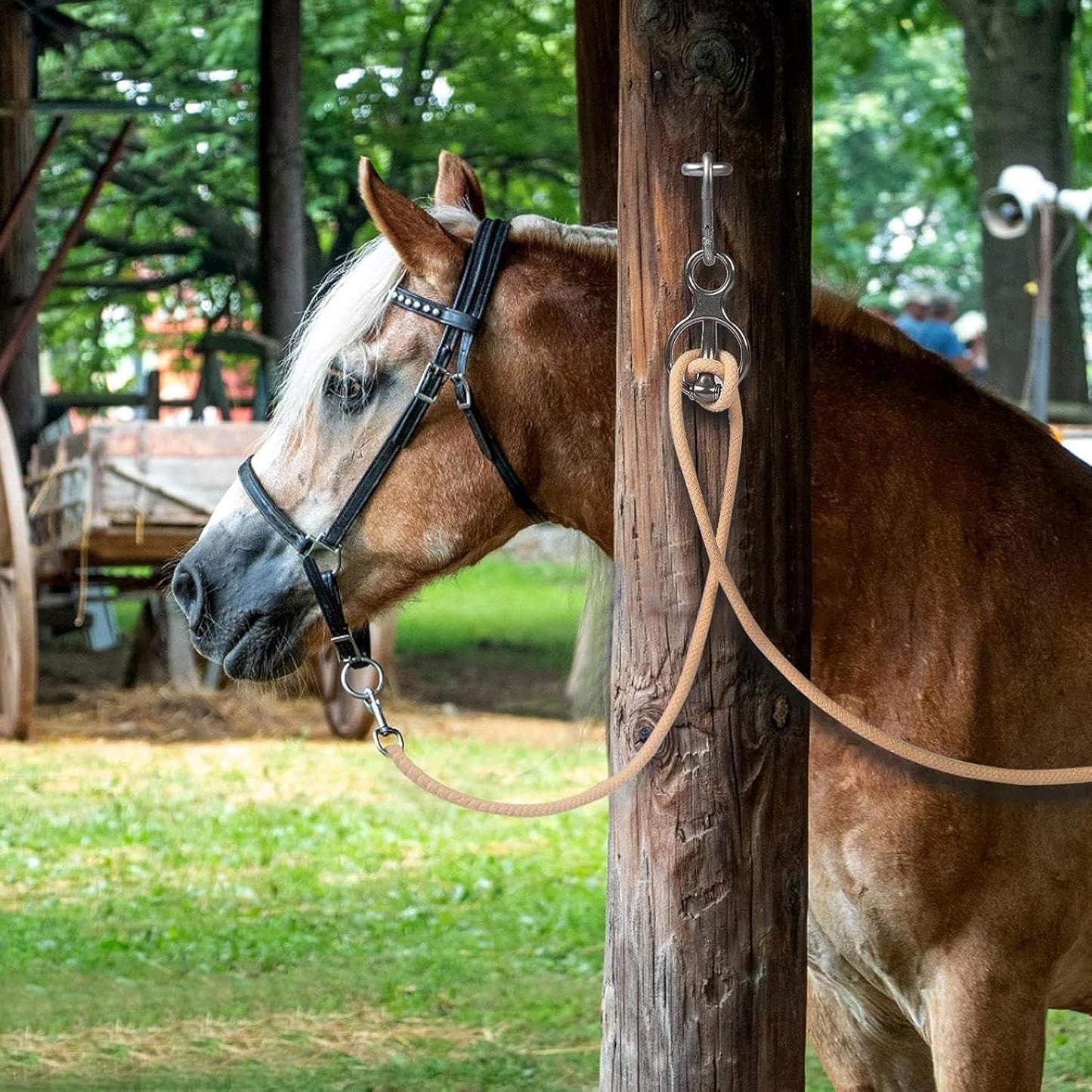 Horse tie Ring | Stainless Steel Heavy Duty Pull Back Release - Horse tack and Supplies | Indoor Outdoor Stall Stable for Horse Care