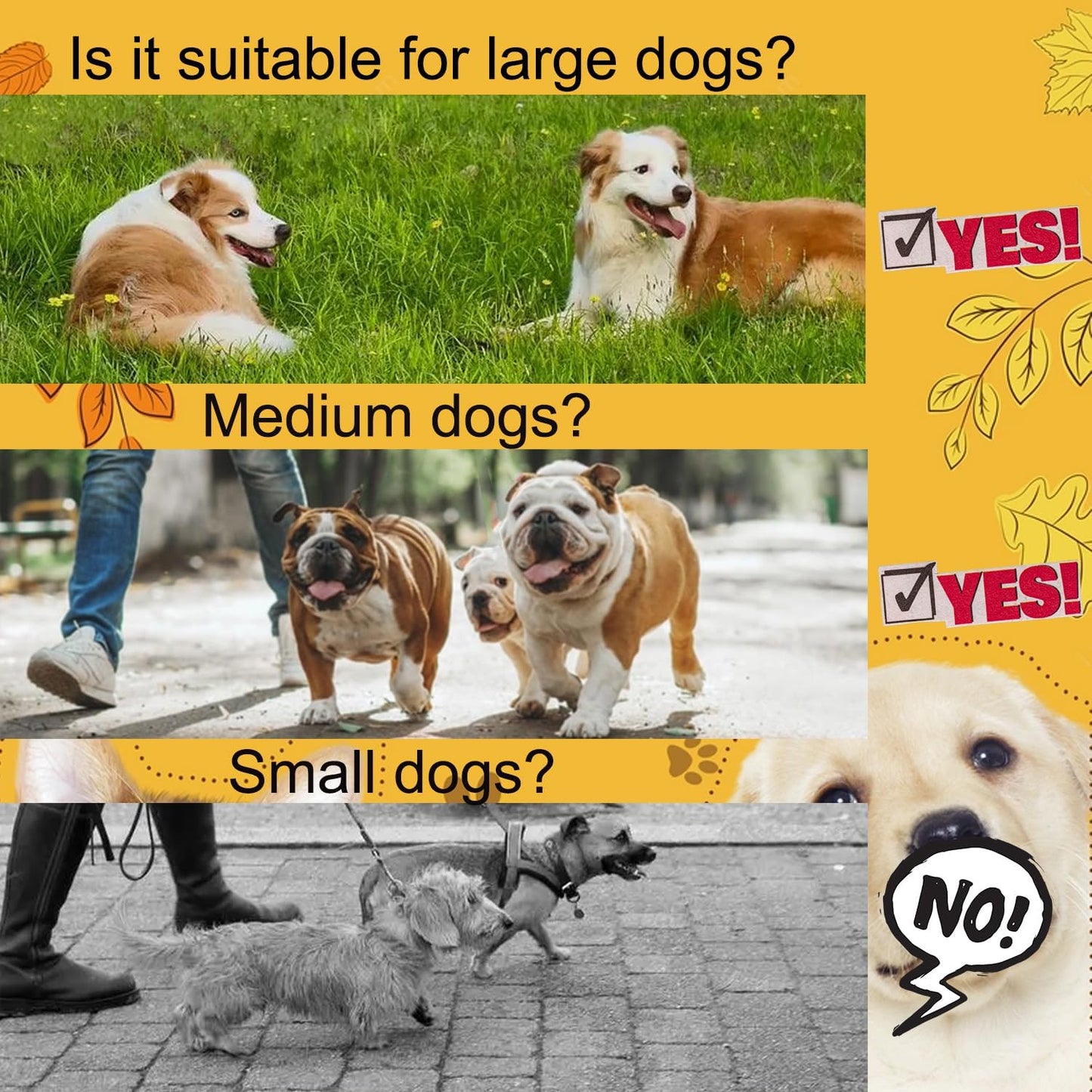 Double Dog Leash for Two Dogs, Heavy Duty Adjustable No Tangle, Bungee Retractable Split Multiple Leash for Walking 2 Dogs, 5.5FT-1/2”, Black