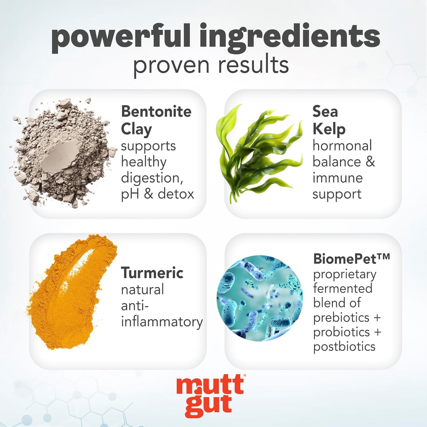 All-Natural 3-in-1 Dog Probiotic, Prebiotic, and Postbiotic Supplement Powder - Probiotics for Dogs with 135 Billion CFUs, Anti Diarrhea, Digestive Enzymes & Antioxidants (60g)