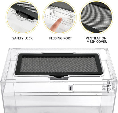 Reptile PC Terrarium Amphibian Tank Spider Enclosure Snake Cage 7x11.8x5.9inch Suitable for breeding Leopard Gecko,Frog,Hermit Crab,Lizards,Isopod,Tarantula,Turtles,Chameleons,Jumping Spiders