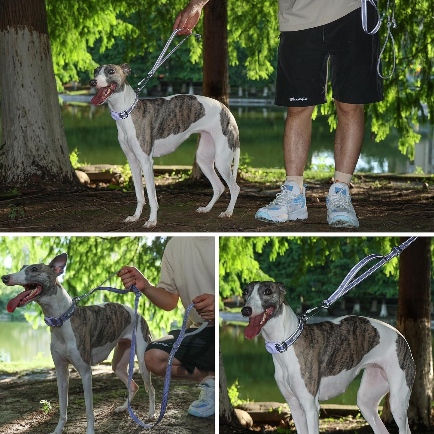 AirTag Dog Collar, Reflective Nylon, Metal Buckle, IP68, Dog Collar with AirTag Holder, Heavy Duty Dog Collars for Large Medium Small Dogs (Lavender Purple, S：Width 3/4",Neck 9.8"-15.4")