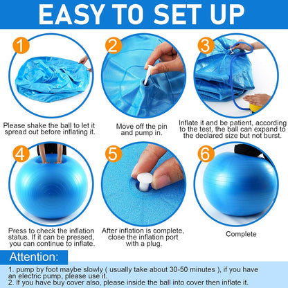 48 Inch Giant Herding Ball Anti Burst Ball Please Watch VCR for How to Inflation Horse Toys for Horse Stall Entertainment Play, Pump Included