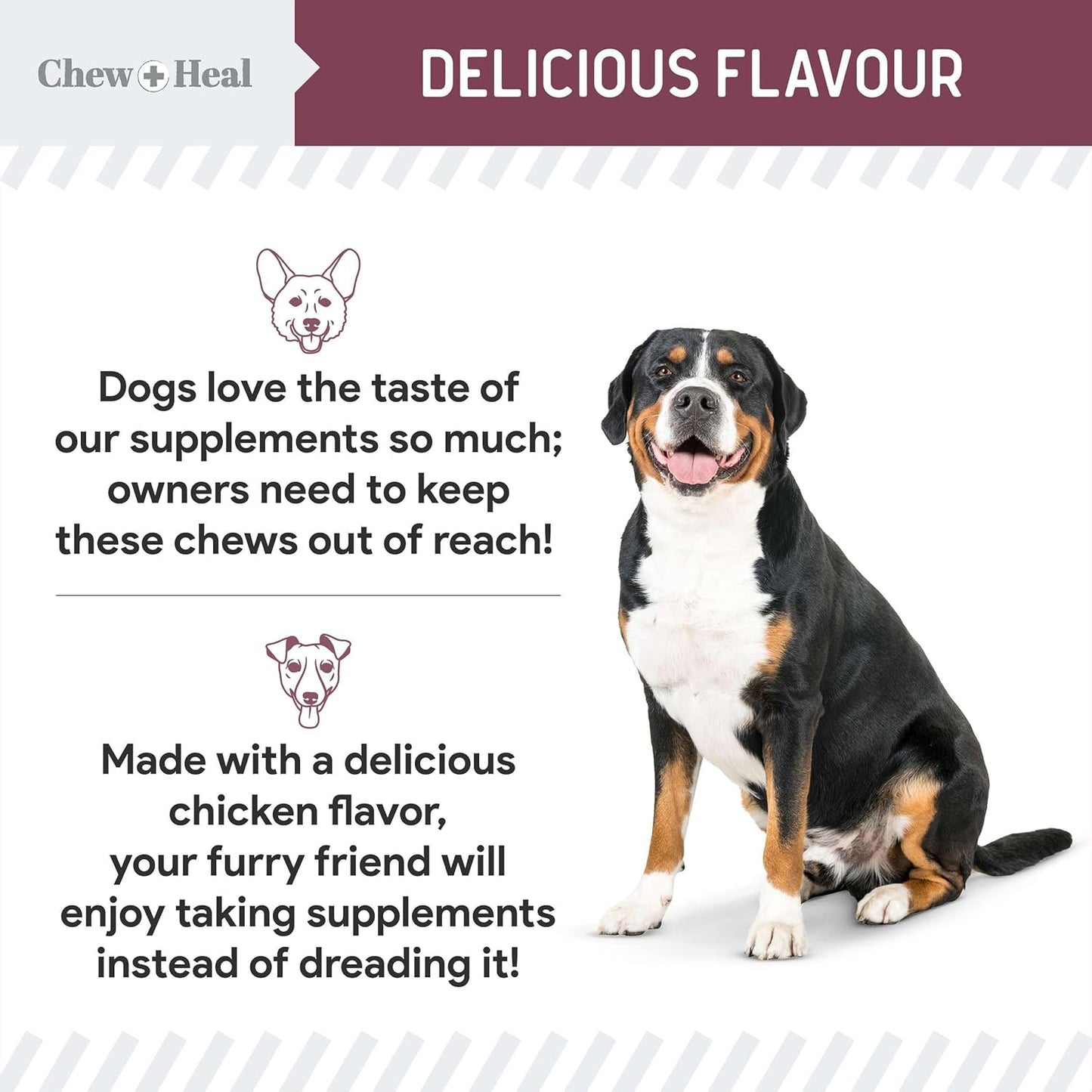 12-in-1 Multivitamin for Senior Dogs - 120 Senior Dog Vitamin and Supplement Soft Chews for Hip and Joint - Advanced Formula with Glucosamine, Omega 3,6,9, Vitamins, Probiotics - Made in The USA