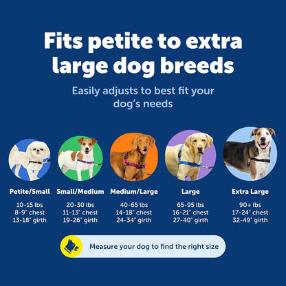 PetSafe Easy Walk Harness for Dogs - Pull-Free Walks - Patented Martingale Loop Design - Front Chest Leash Attachment - Comfort Straps - Breathable Harness Design - Large, Fawn/Brown