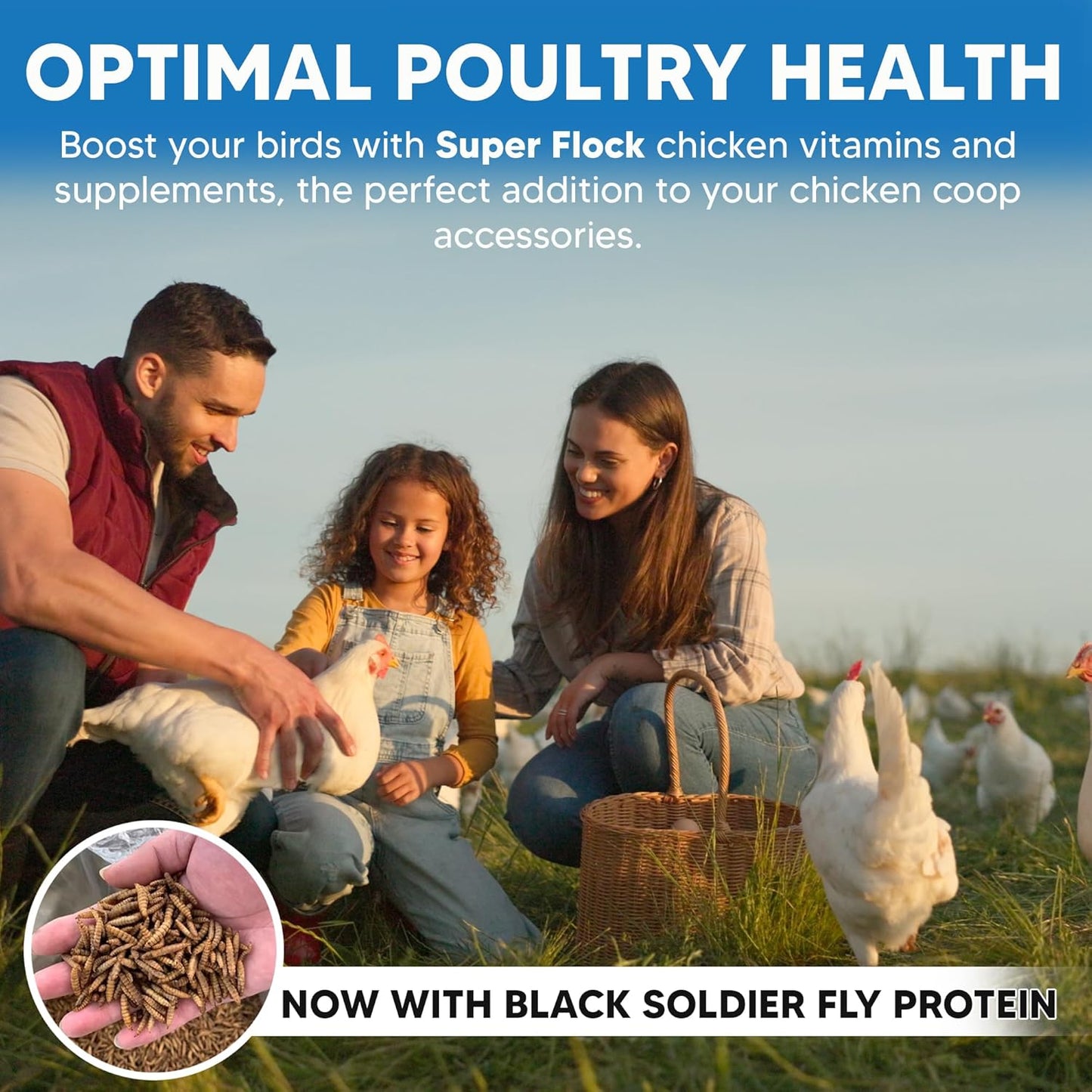 Super Flock Premium Pellet Chicken Supplement Boost Health & Egg Quality with Vitamins, Probiotics, Minerals, Chicken Supplies (1 lb)