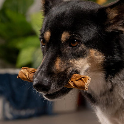 Pet Factory CareChewz Collagen 6-7" Skinny Braided Sticks Dog Chew Treats - Chicken Flavor, 5 Count/1 Pack