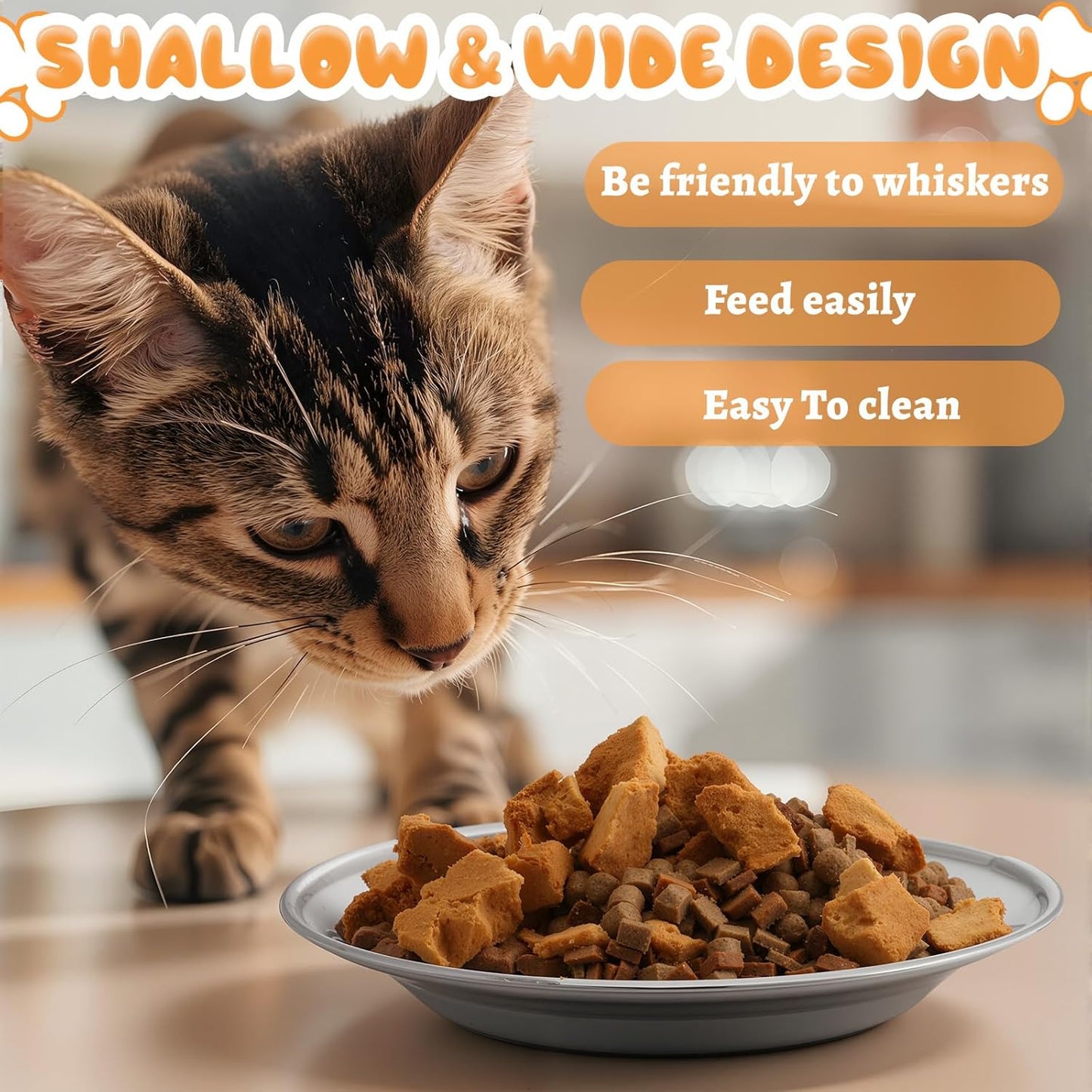 LemonRoad 8 Pcs Stainless Steel Cat Food Bowl Dishes 6.3 Inches Shallow and Wide Friendly Water Dishes Bowls for Indoor Cats Kitten and Small Pets Reducing Fatigue