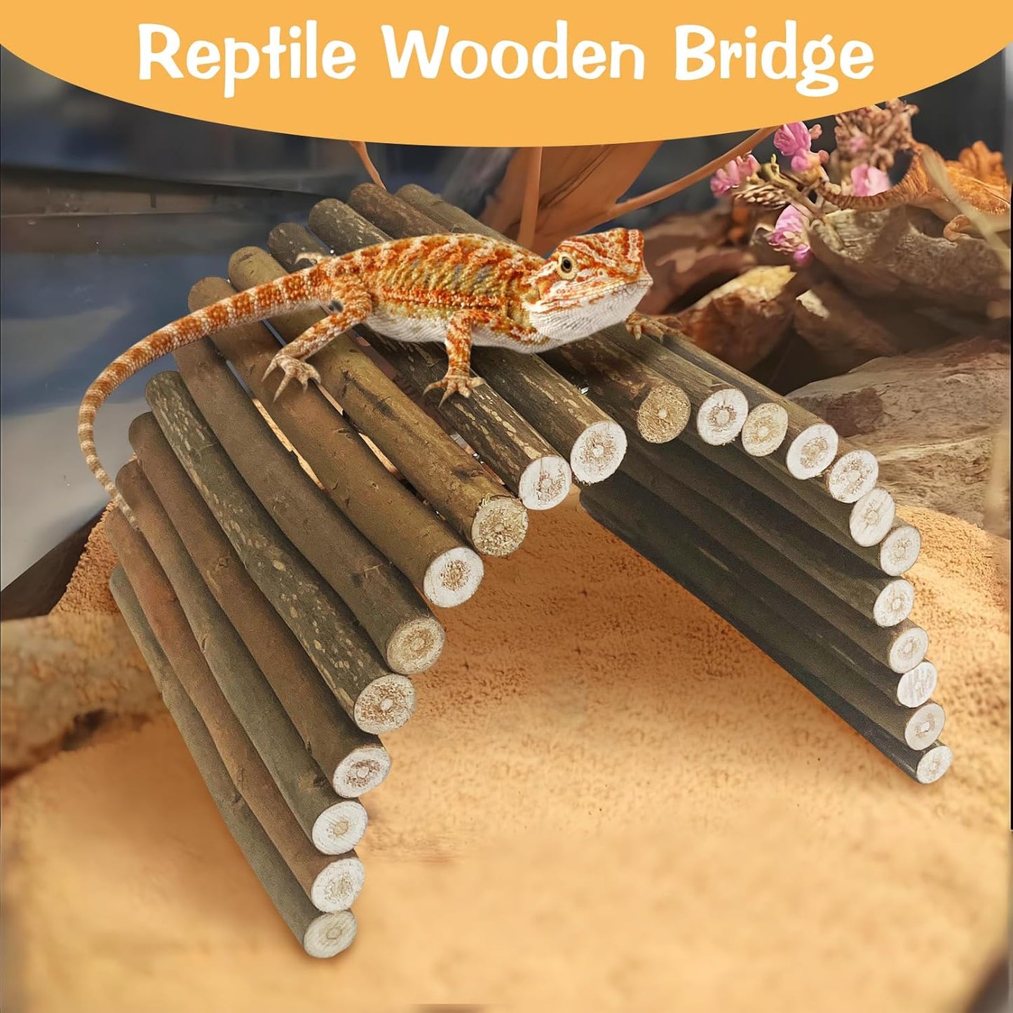 BNOSDM Bearded Dragan Tank Accessaries Reptile Bridge Hammock Flexible Wood Hideout 3PCS Reptile Habitat Accessory Set for Lizard Turtle Hermit Crabs Ball Python Gecko