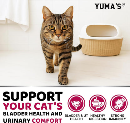 Cat UTI Treatment - Cranberry Supplement for Cats - Bladder Control - Urinary Tract Health Infection Treatment - UTI Medicine - Vitamins and Food Supplements - Immune & Multivitamin Support Chews