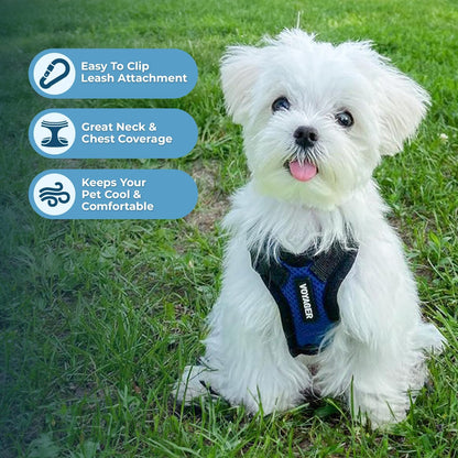 Best Pet Supplies Voyager Step-in Lock Pet Harness w Reflective Pet Leash Combo Set with Neoprene Handle 5ft - Supports Small, Medium and Large Breed Puppies/Cats - Royal Blue/Black Trim Set, M