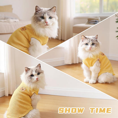 Waffle Knit Cat & Dog T Shirt for Small Dogs, Stretchable Puppy Shirt for Sphynx Cats & Small Breeds, Pet Clothes | Breathable Summer/Winter Apparel for Newborn(3PCS Large)