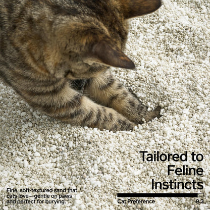 pidan Cassava Cat Litter with Bentonite Litter,clumping,Odor Control,Natural Ingredients, Low Dust,Unscented,Ultra Absorbent and Fast Drying(5.3lb×4bags)