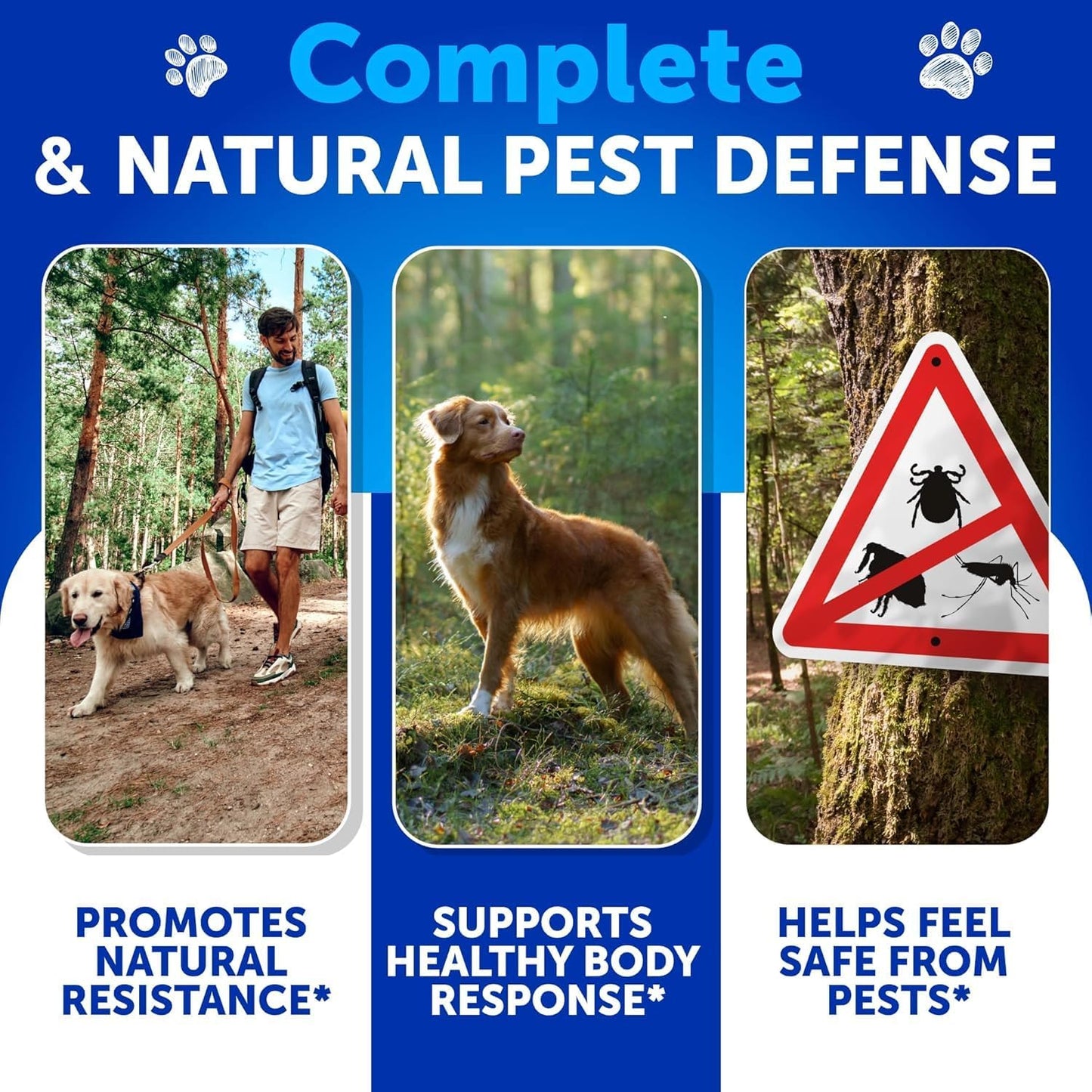 Flea and Tick Prevention for Dogs Chewables - Natural Flea Treatment Control - Supplement for Large & Small Dogs with Vitamins - Immune Support Chews - Puppy Pest Defense Oral Pills - 70 Soft Treats
