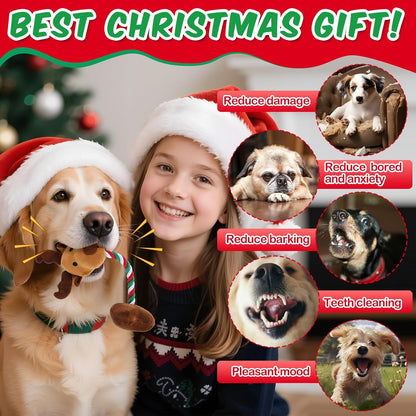 7 Pcs Christmas Dog Toys Christmas Squeaky Interactive Dog Toys with Crinkle, Plush Pet Chewing for S/M/L Dogs to Keep Busy Santa, Penguin, Snowman, Deer, Gingerbread Man, Stocking, Bone