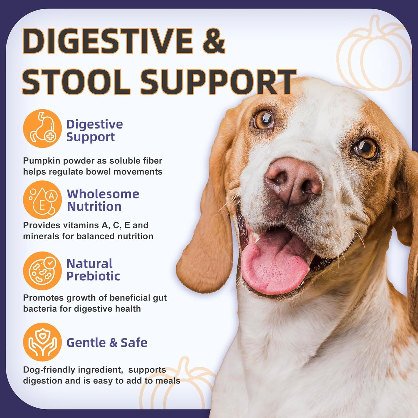 NATURE TARGET Probiotics for Dogs, 6 Billion Dog Probiotics with Prebiotics & Enzymes for Digestive & Gut Health, Pumpkin, Omega-3 & Multivitamins for Itchy Skin, Allergies, 120 Dogs Probiotics Chews