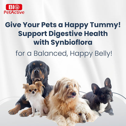 Bio PetActive Synbioflora Digestive Support for Medium and Large Breed Dogs | Probiotics & Prebiotics Supplement | Supports Digestion, Gut & Stomach Health | Helps with Diarrhea and Gas | 60 Chews