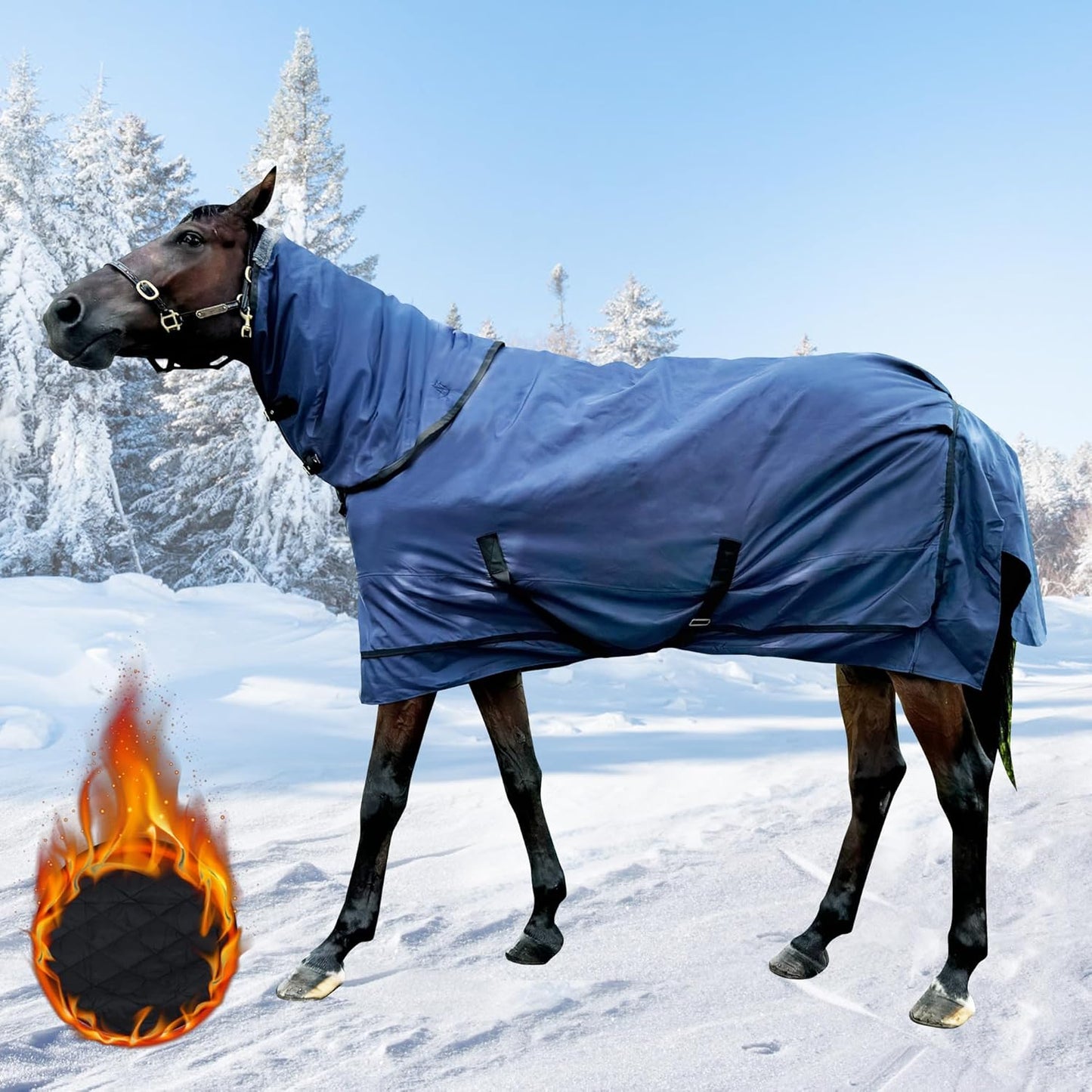 Waterproof Horse Turnout Blanket - Medium Weight Winter Blanket (220g Fill) with Detachable Neck Cover - Blue - 72 in