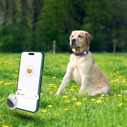 AirTag Dog Collar - Genuine Leather Dog Collar with Apple AirTag Holder and Metal Buckle - Smart GPS Tracking Pet Collars for Small Medium Large Dogs Puppy (Smoky Blue, S, 12"-15" Neck Fit)