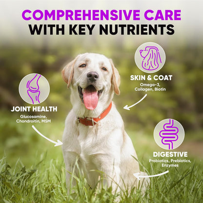 Dog Soft Chews – Joint Care, Skin & Coat, Gut Health, Immune Support
