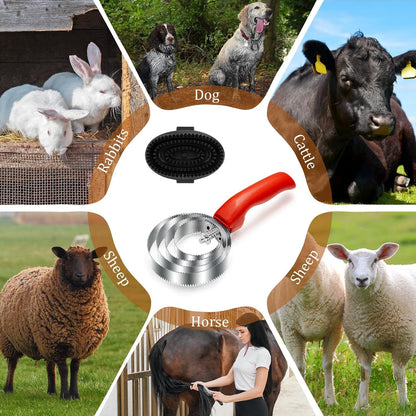 Reversible Stainless Steel Curry Comb with Large Rubber Brush for Grooming Horses, Dogs, Goats, Cattle, Cow, Donkey Supplies
