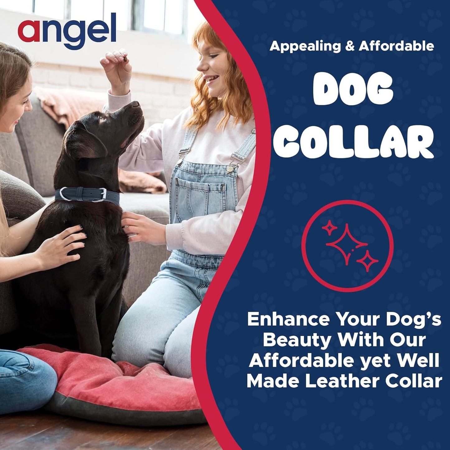 Angel Pet Supplies Alpine Plain Dog Collar by Angel. 26 X 1.25, Midnight Black, 41040