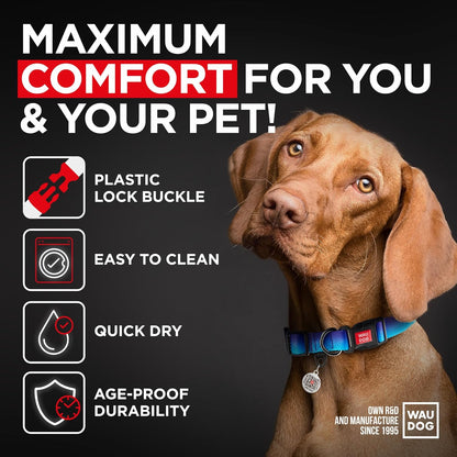 Nylon Dog Collar with Air Holder - Adjustable for Large Dogs, Small & Medium Dogs - Puppy Collars for Large Breed Dogs - Boy & Girl Collars