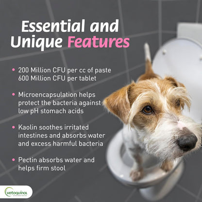 Pro-Pectalin Oral Paste for Dogs & Cats, Helps Relieve Occasional Diarrhea in Cats and Dogs, Situational Diarrhea Relief with Kaolin and Pectin, Contains Beneficial Probiotic Bacteria, 15cc