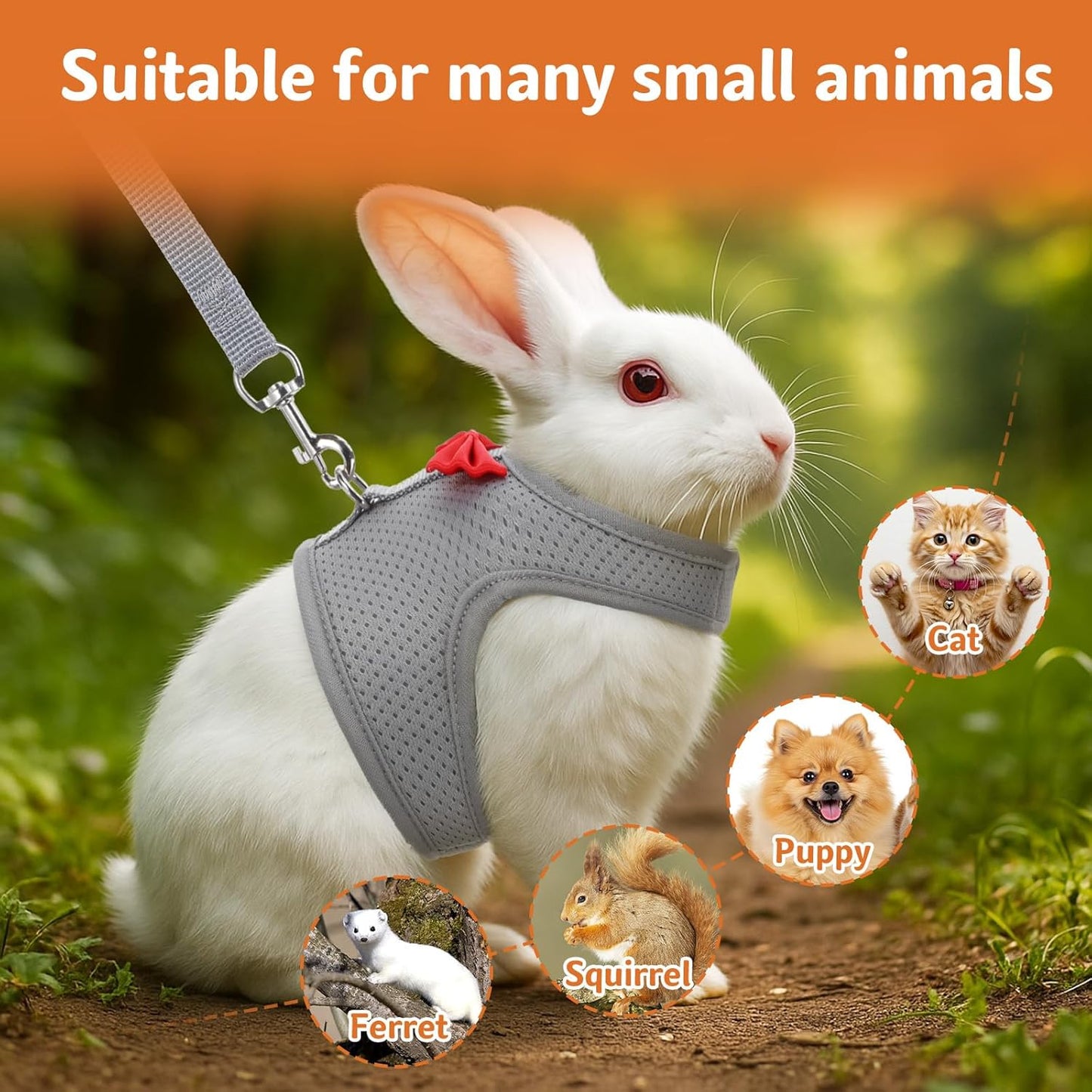 Bunny Harness and Leash Set, Soft Breathable Mesh Rabbit Leash Vest with Safety Buckles, Lightweight Escape-Proof Walking Gear for Rabbits, Kittens, Ferrets, Guinea Pigs, Grey M