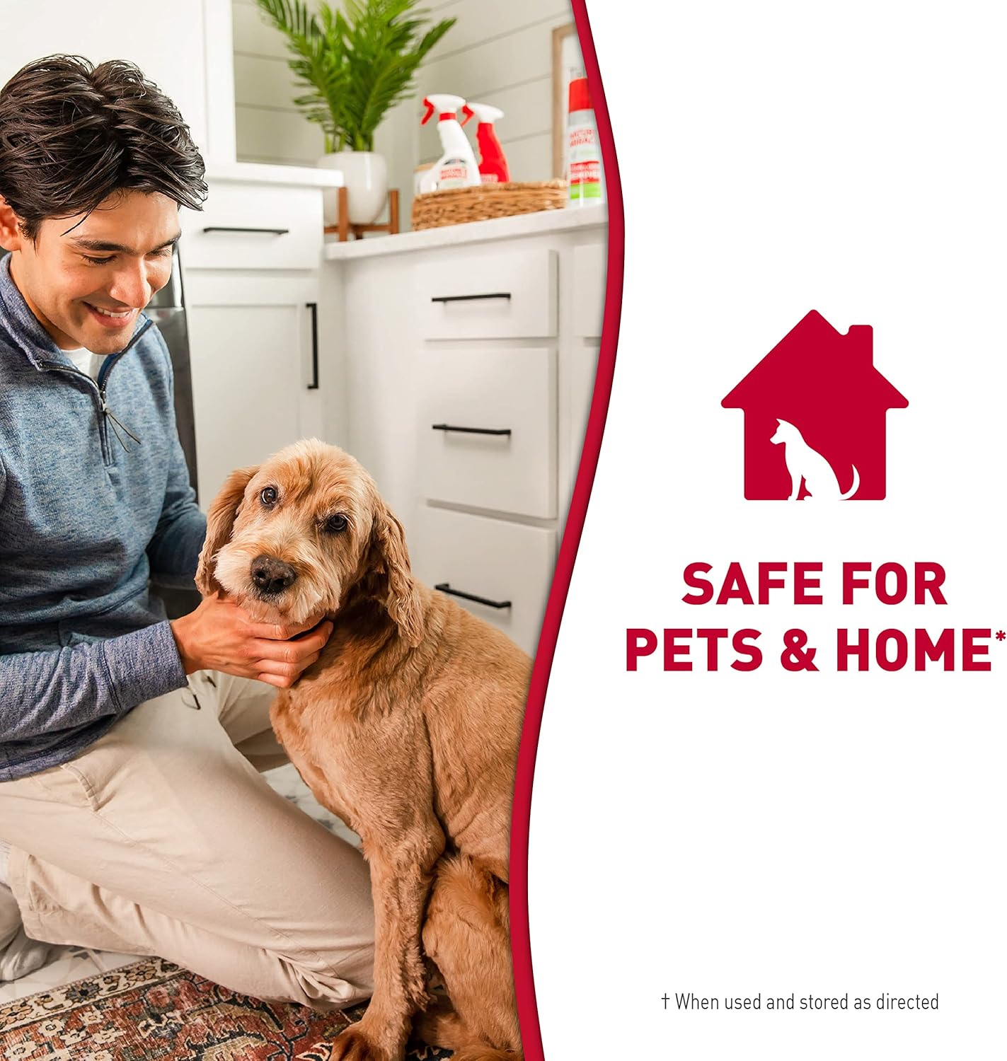 Nature’s Miracle Stain and Odor Remover Dog, 32 Ounces, Everyday Mess Enzymatic Odor Control Formula