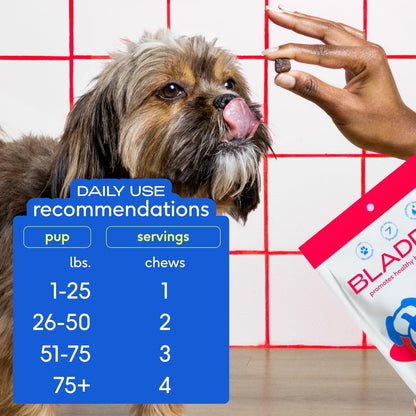 Native Pet Bladder & Immune Support Bundle: Bladder Chews for Dogs (120 Air-Dried Chews) & The Daily Dog Multivitamins (120 Scoops) - UTI Treatment & Prevention Plus 11-in-1 Multivitamin for Pups