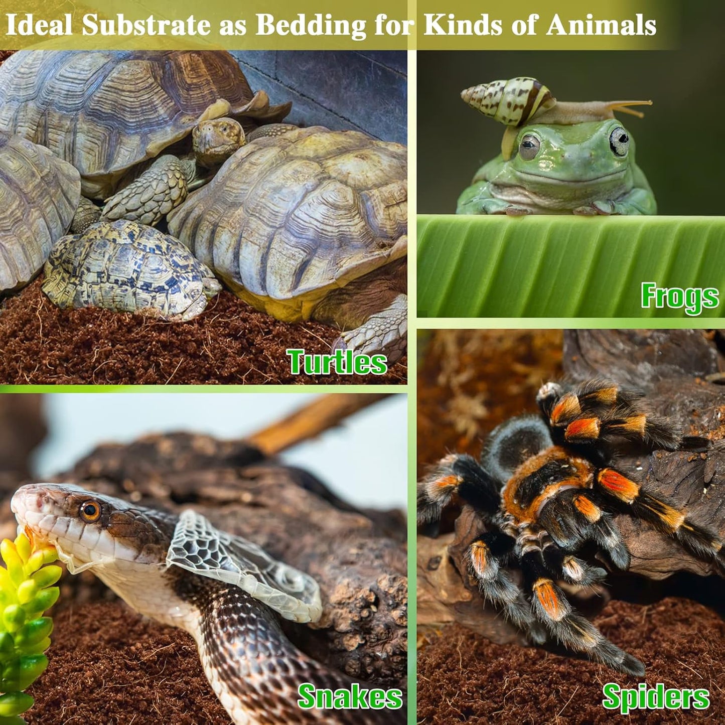 ZeeDix 4 Pack Coconut Fiber Substrate, 100% Organic Coconut Husk Coco Coir Brick Terrarium Bedding for Reptiles, Tortoise, Bearded Dragon, Leopard Gecko, Snake, Hermit Crabs, Frogs, Tarantula