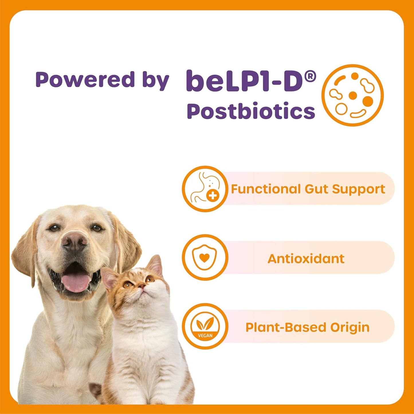 Choolip Bundle | 20pc Jumbo Squeeze Vita Sticks with Essential multivitamins + 49 Eye Support Squeeze Vita Sticks with Essential multivitamins [Both Products are for Cats & Dogs of All Life Stages]