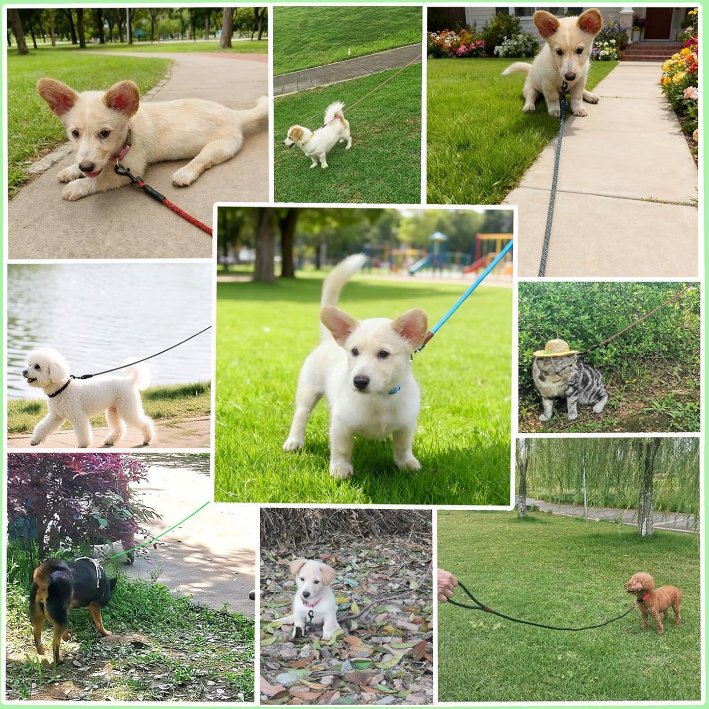 WYuZe 5ft Puppy Leash for Small Dogs, 1/4" Thin Rope Dog Leash with Easy to Use Hook, Lightweight Leashes for Chihuahua/Yorkie/Toy Breed, 10 Colors, Pink Purple