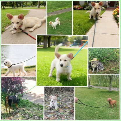 WYuZe 5ft Puppy Leash for Small Dogs, 1/4" Thin Rope Dog Leash with Easy to Use Hook, Lightweight Leashes for Chihuahua/Yorkie/Toy Breed, 10 Colors, Pink Purple