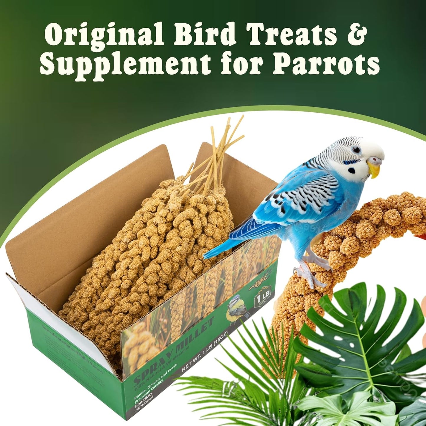 RANZ 1LBS Spray Millet Treat for Pet Birds, Hand-Harvested Bird Snack, Natural Sun-Dried Millet Spray for Parakeets, Parrots, Cockatiels, Lovebirds, Budgies, Finches, Canaries