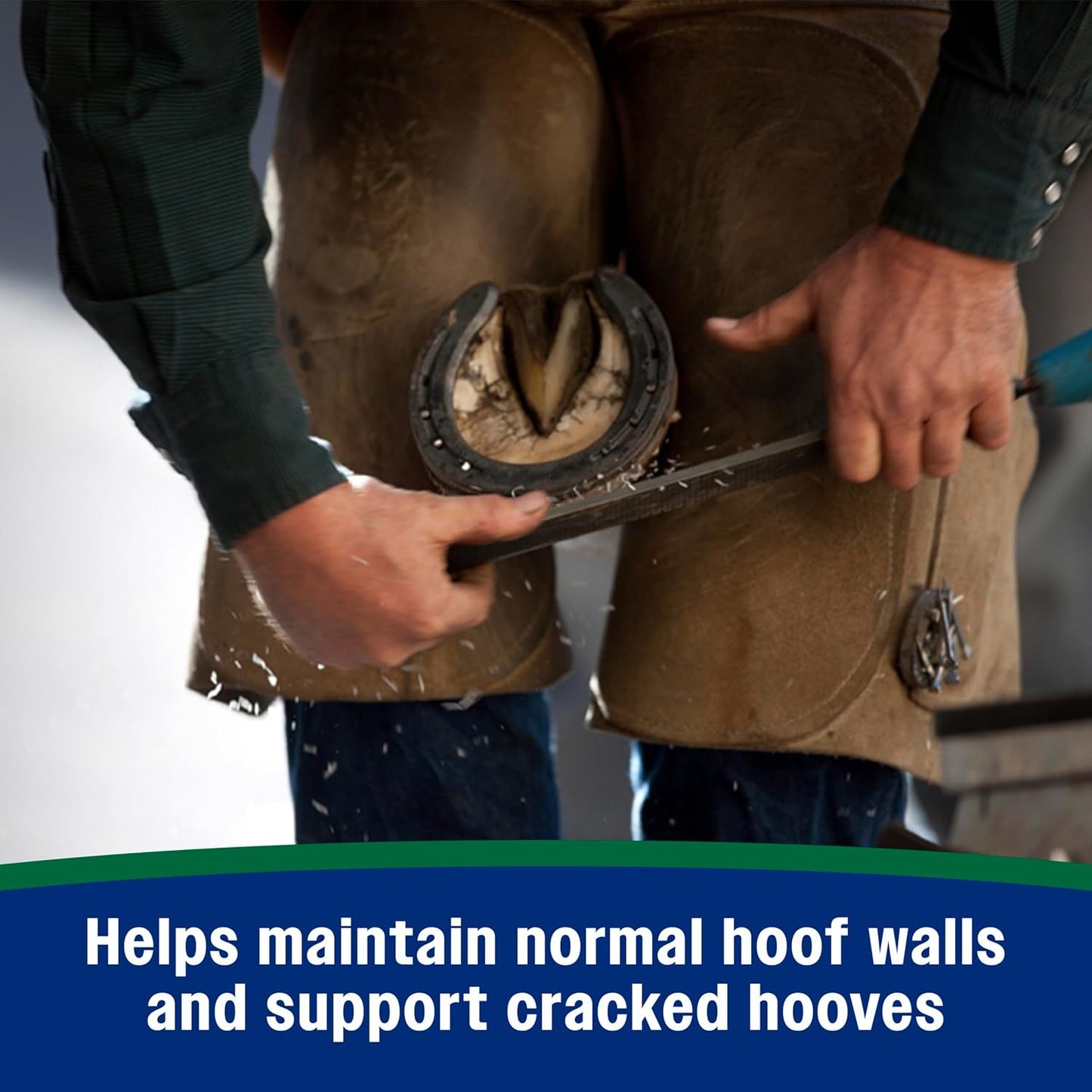 Farnam Horseshoer's Secret Pelleted Hoof Supplements, Promotes healthy hoof growth, maintains hoof walls & supports cracked hooves, 38 lbs., 100 day supply