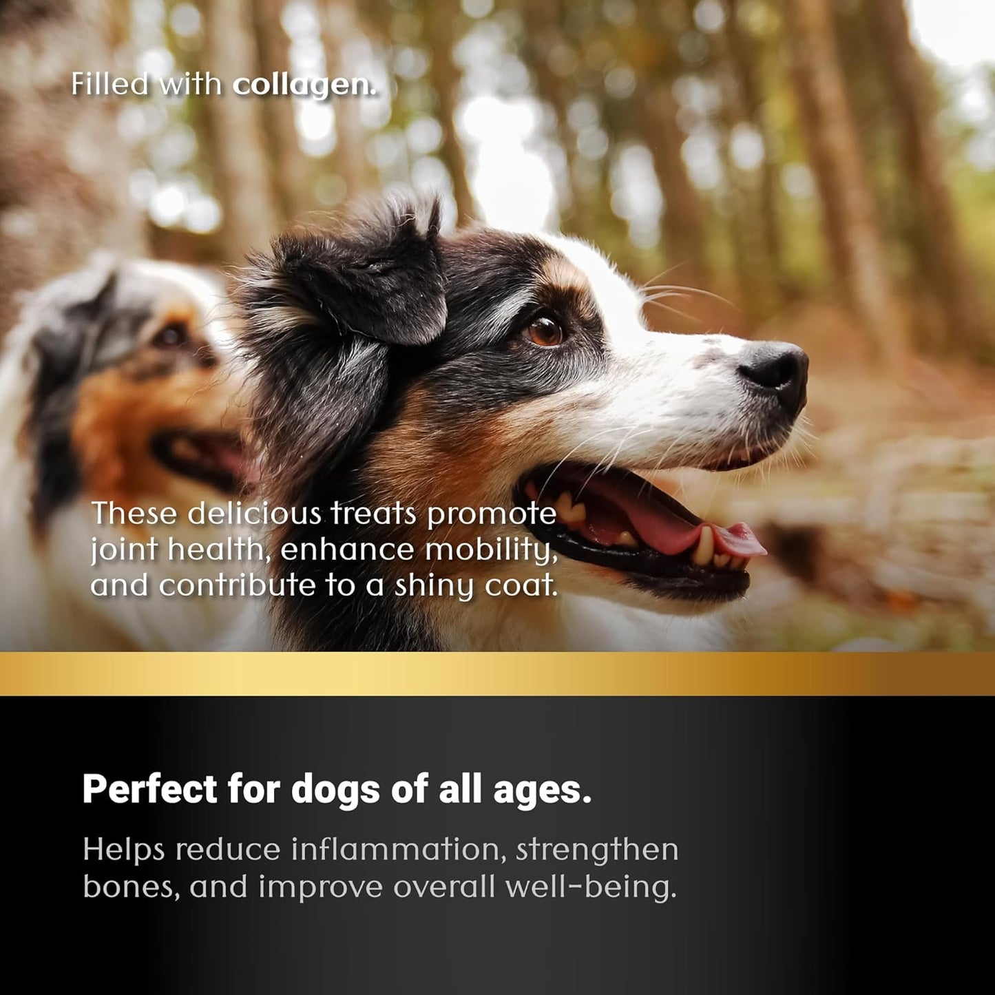 Braided Collagen Sticks for Dogs (6 Inch - 7 Pack), – Premium All-Natural, Odor-Free, High-Protein Chews, Supports Skin, Coat & Joint Health – Perfect for Medium & Large Dogs